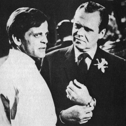 DAS GEHEIMNIS DER GELBEN NARZISSEN