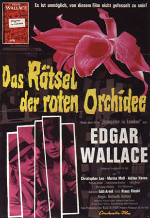 DAS R&Auml;TSEL DER ROTEN ORCHIDEE